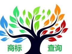 如何應(yīng)對商標(biāo)查詢盲期？